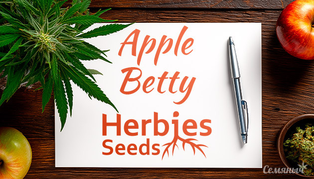 Гроурепорт сорта Apple Betty от сидбанка Herbies Seeds