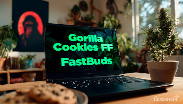Гроурепорт сорта Gorilla Cookies FF от FastBuds