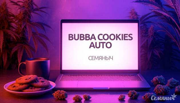 Гроурепорт сорта марихуаны Bubba Cookies Auto от Семяныча